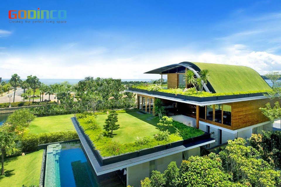 Giải pháp chống nóng hiệu quả bằng cách trồng nhiều cây xanh